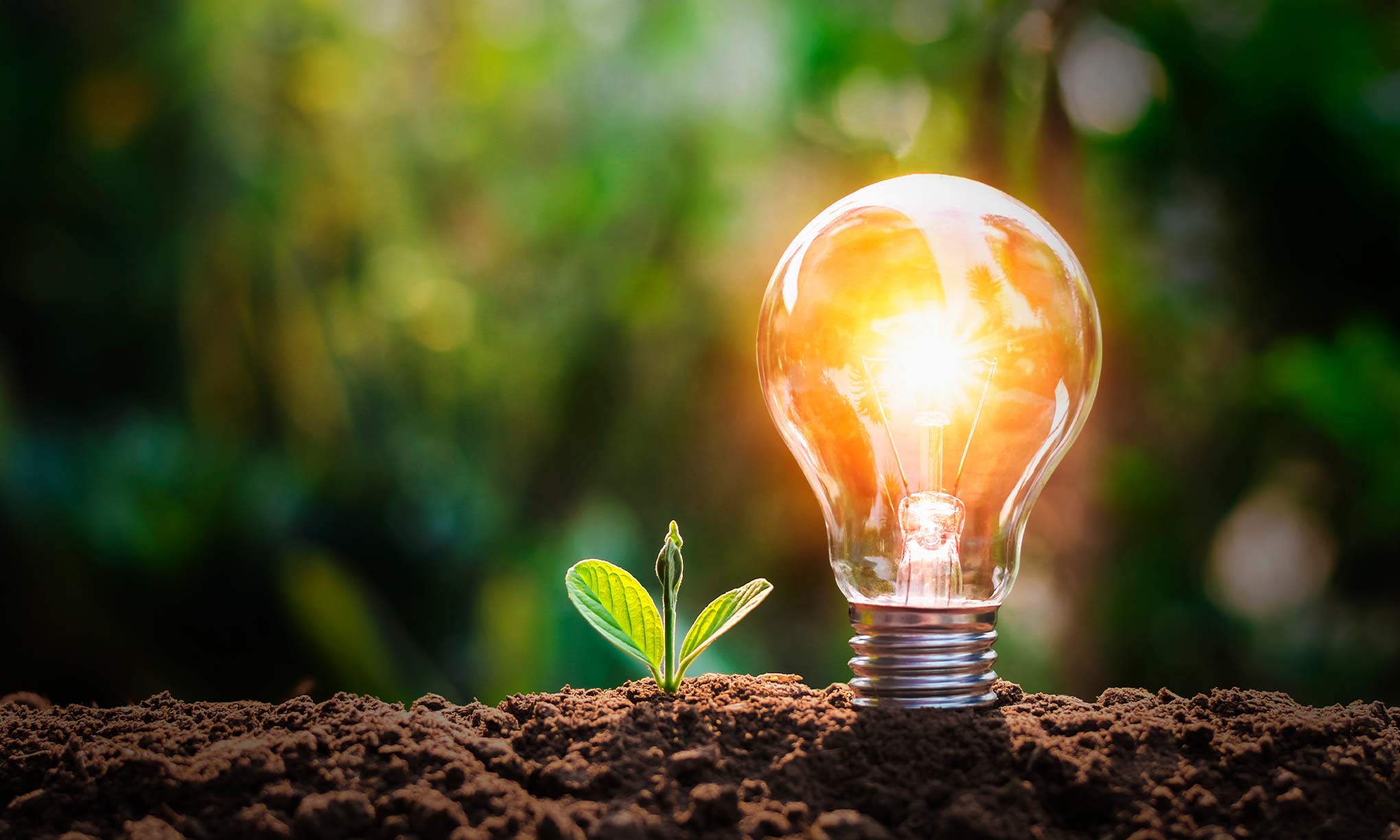 ahorro energia